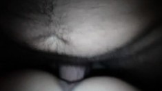 POV blowjob and doggystyle fucking
